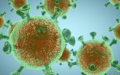 LogicMelon Coronavirus Measures