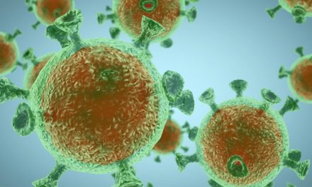 LogicMelon Coronavirus Measures